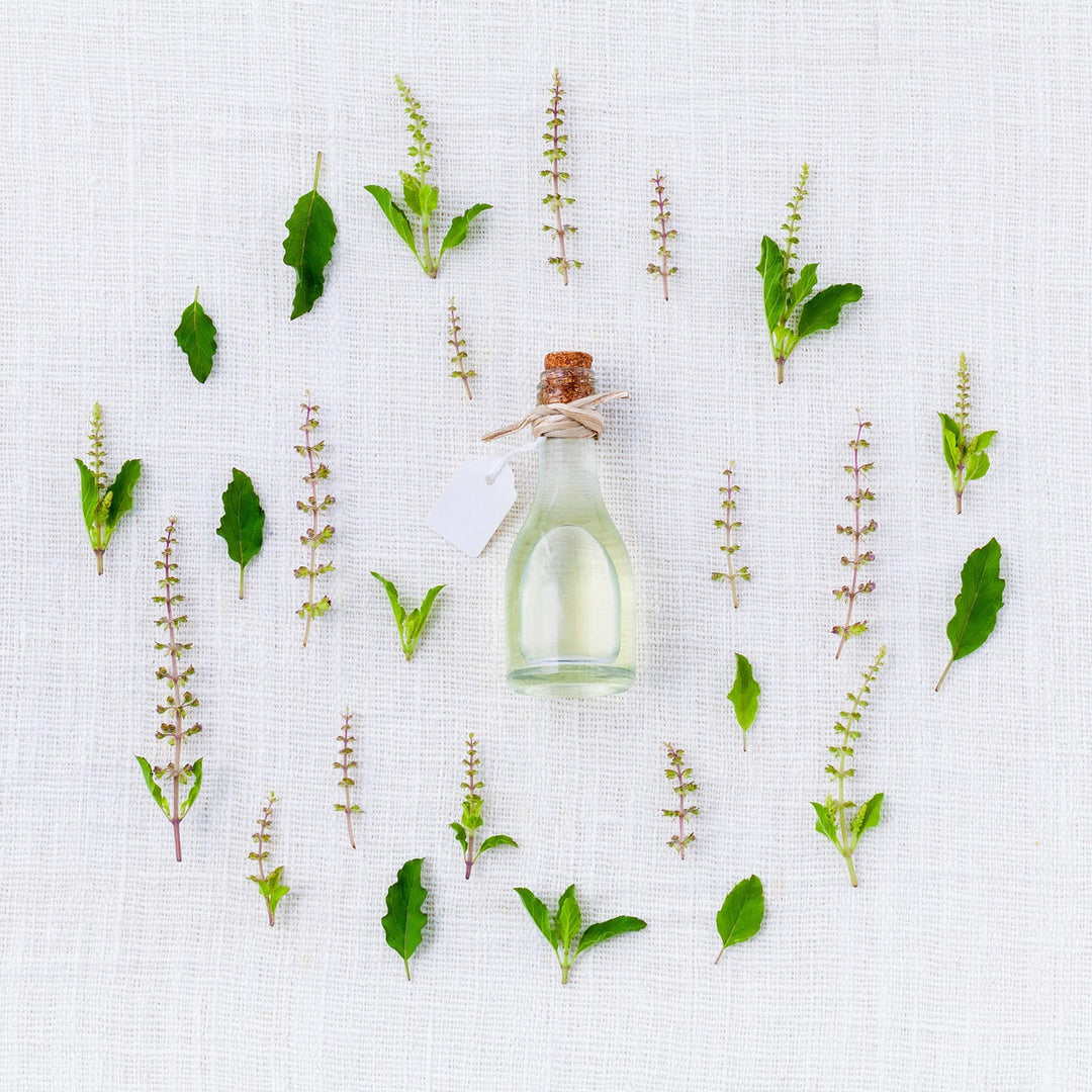 Comprar perfume según su intensidad