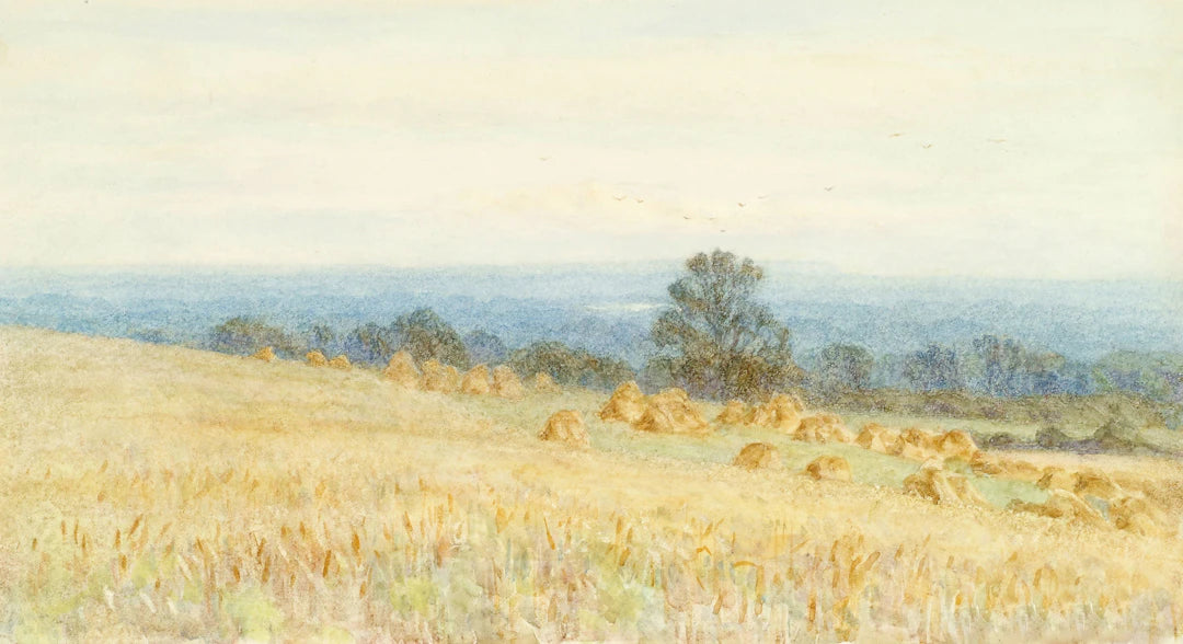 Las Fragancias Un Viaje Literario y Artístico