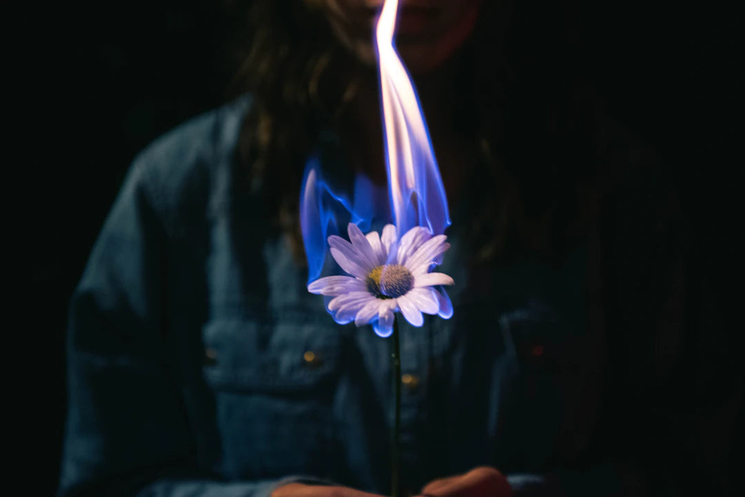 El Poder del Olor Cómo Impacta Nuestras Emociones