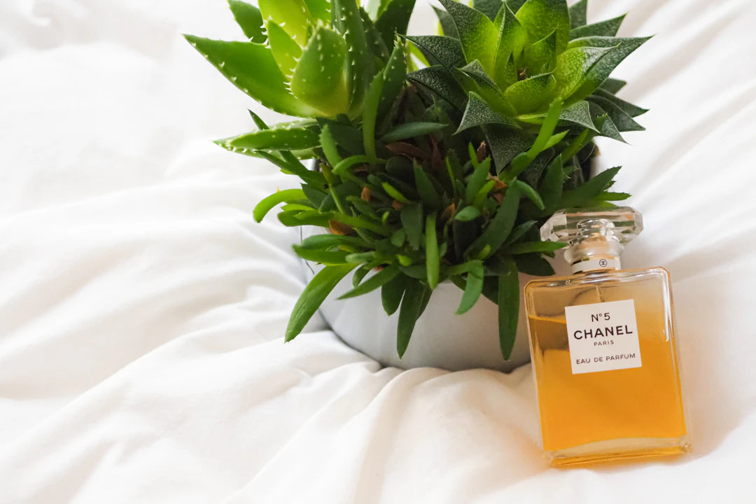 Perfumes y sostenibilidad Hacia una industria más verde