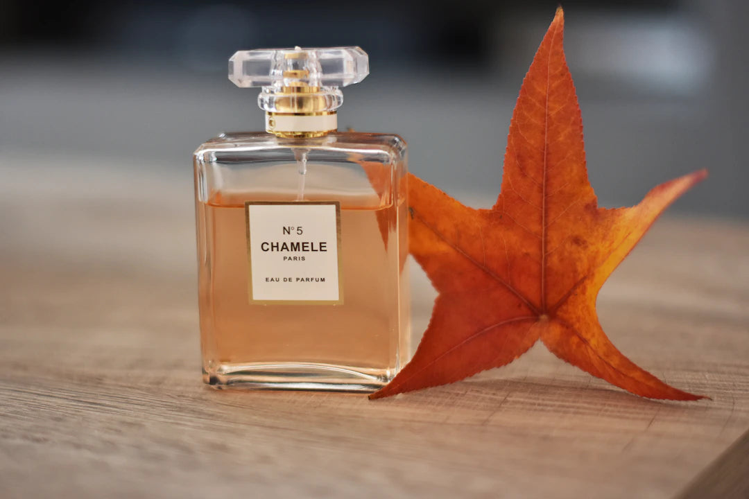 Fragancias Masculinas para Otoño con Estilo y Personalidad