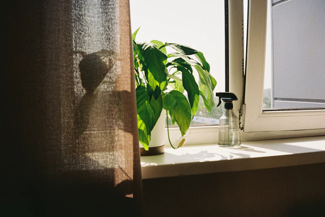 Ambientadores pulverizables para un hogar acogedor