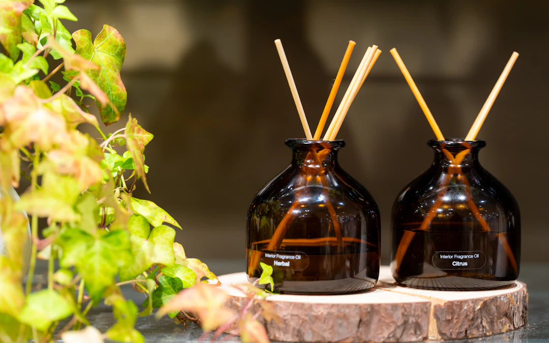 Ambientadores Mikado Aromas que Transforman tu Hogar